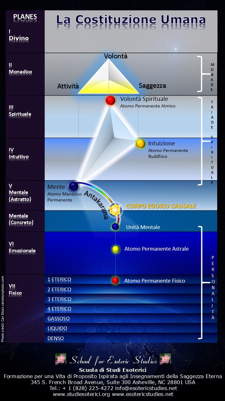 human-constitution.it_