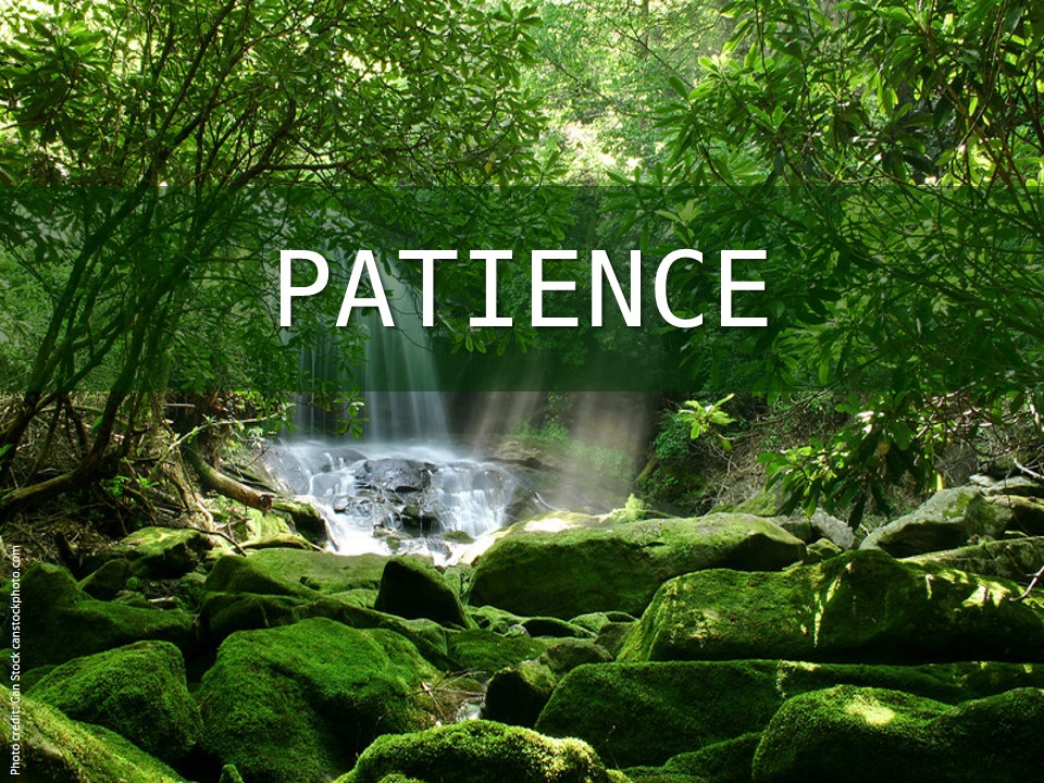 patience.eng_